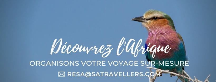 Organisez votre voyage avec South African Travellers, agence de voyage en Afrique.