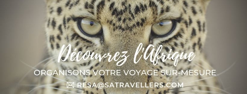 Organisez votre voyage avec South African Travellers, agence de voyage en Afrique.