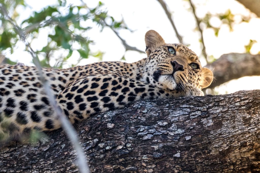 Photo d'itinéraire voyage en Afrique du Sud - Les incontournables de l'Afrique du Sud