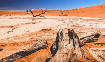 Découvrez les Dunes de Sossuvlei en Namibie avec South African Travellers, agence de voyage en Afrique - Cap au Sud de la Namibie