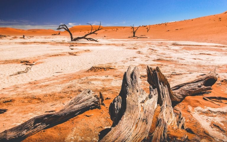 Découvrez les Dunes de Sossuvlei en Namibie avec South African Travellers, agence de voyage en Afrique - Cap au Sud de la Namibie
