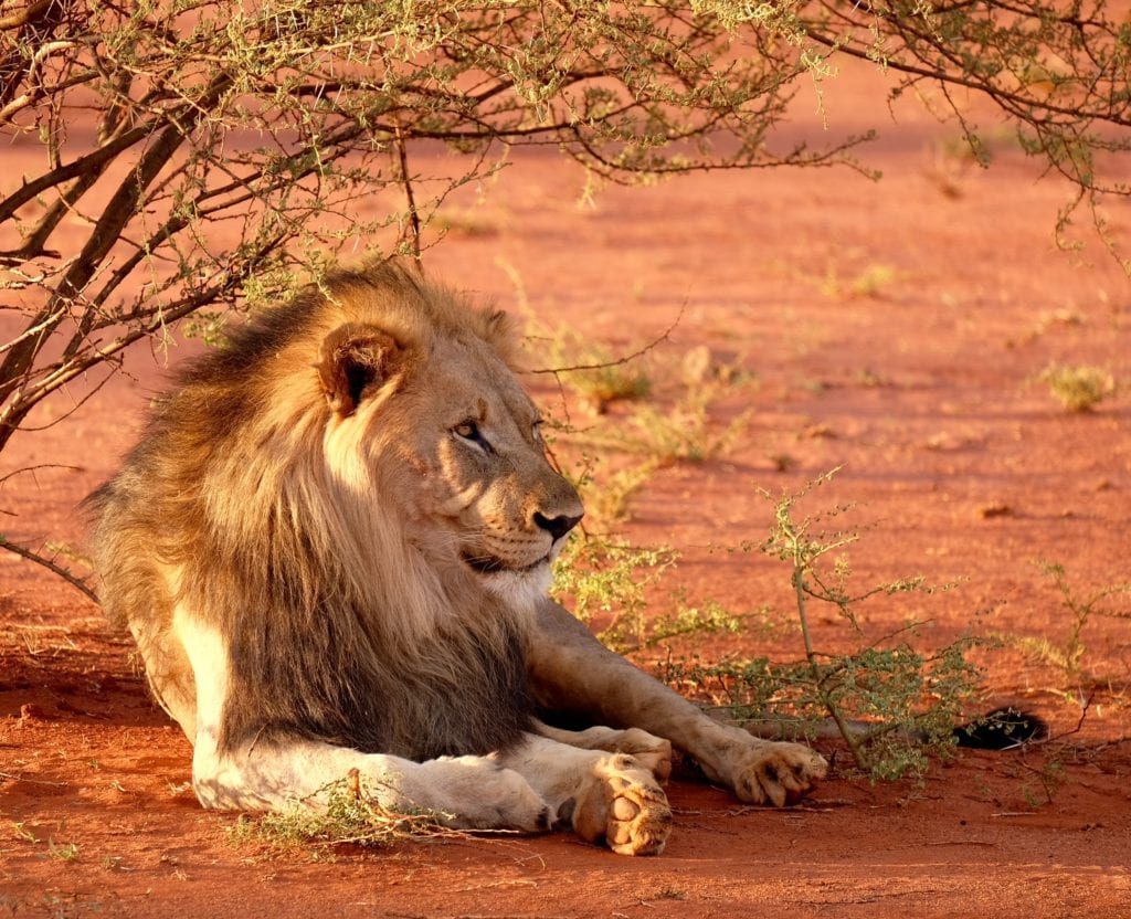 Autotour en Afrique du Sud