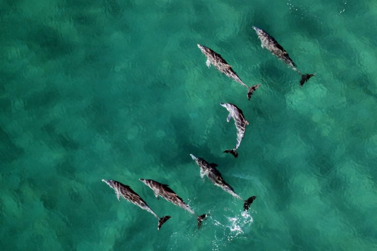 Safari Terre et Mer
