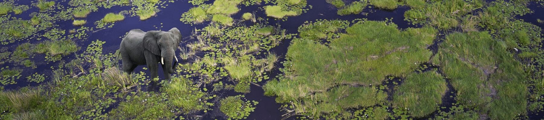 SATravellers, agence de voyage au Botswana et Afrique Australe