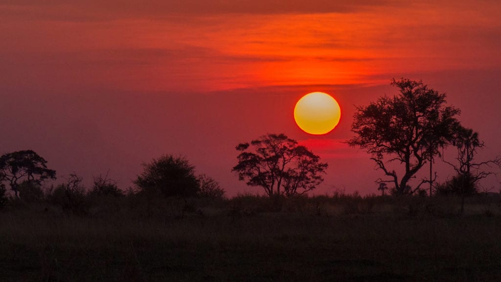 voyage botswana pas cher