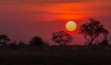 voyage botswana pas cher