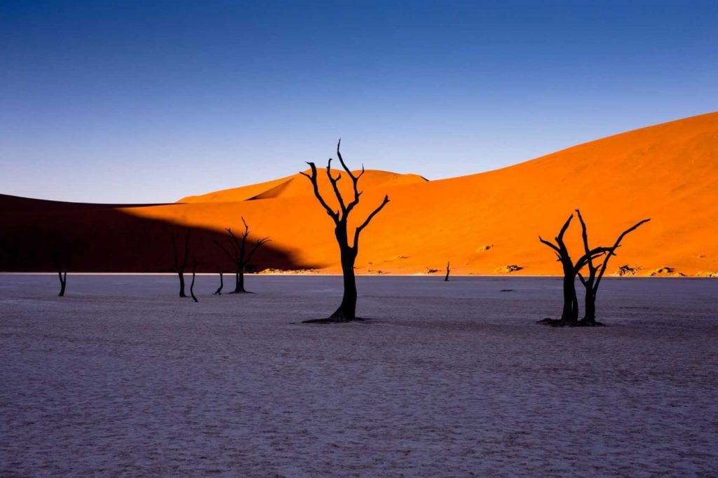 Namibie en Famille, dunes de Sossuvlei et Dead Vlei