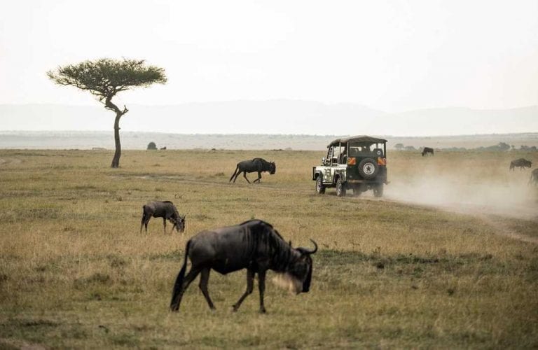 Safari 4×4 au Parc Kruger