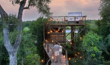 Photo itinéraire voyage de noces en Afrique du Sud, safari à deux au Kruger.
