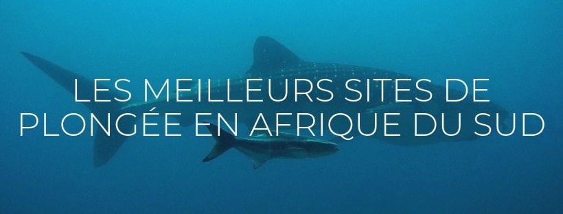 Sites de rencontre pour l’Afrique du Sud marié