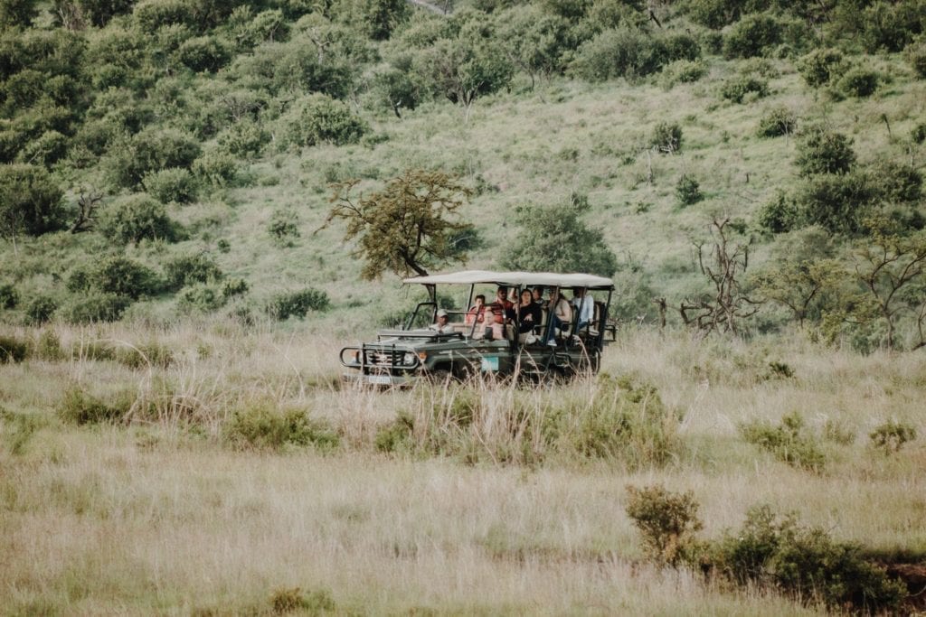 Voiture safari au Kruger et Game reserve - Article "Que mettre dans sa valise pour partir en safari"