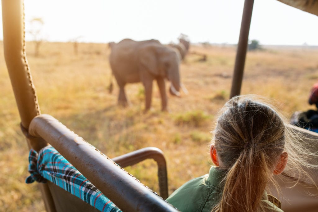 Observation de rhinocéros en Game Drive - Article de blog post Que mettre dans sa valise pour safari