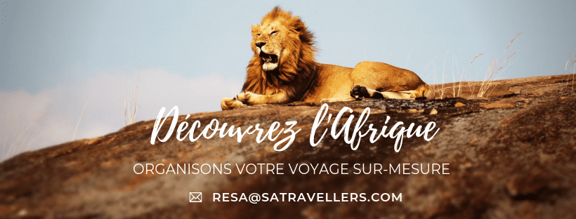 Organisez votre voyage avec South African Travellers, agence de voyage en Afrique.