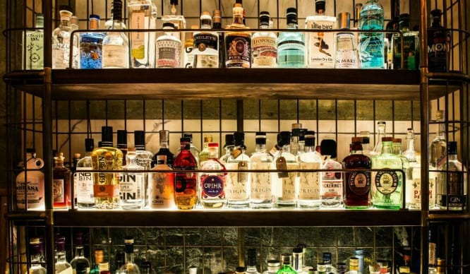 Collection de Gin au Secret Gin Bar, photo de l'article bars secret à Cape Town