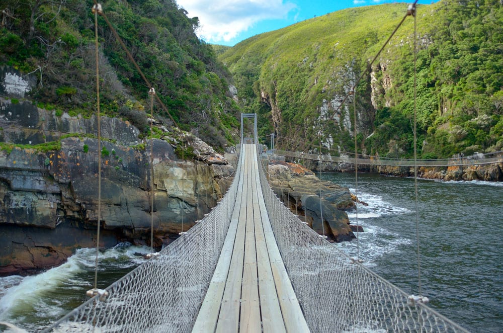 Un pont suspendu au dessus de la Storm River, au Parc National du Tsitsikamma, sur la Garden Route.