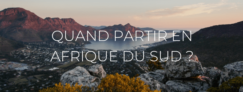 Header de l'article Quand partir en Afrique du Sud ?