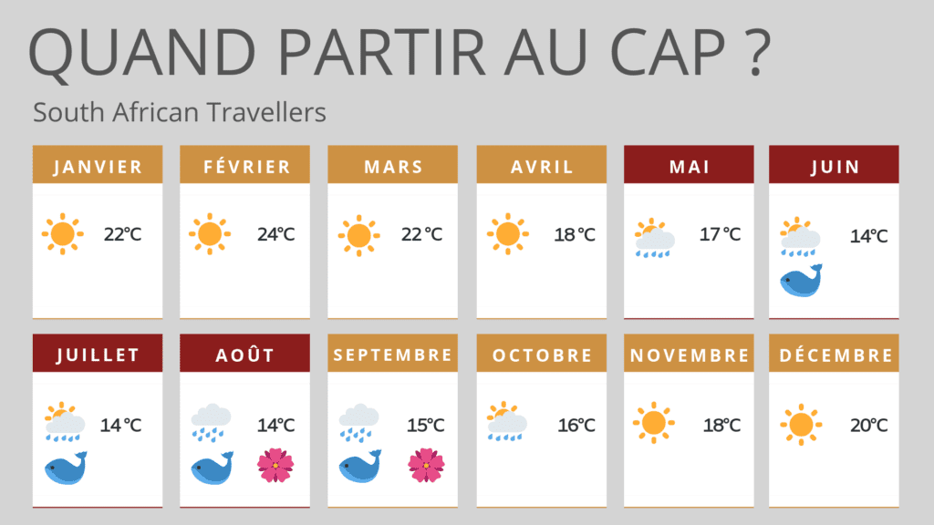 Calendrier pour savoir quand partir au cap, en Afrique du Sud