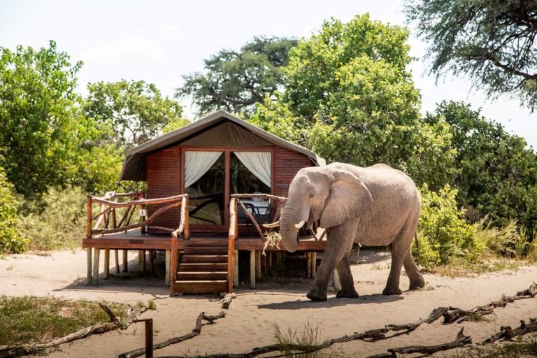 Camp-Savuti-Botswana-100-pct-safari