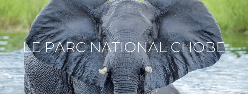 Header Le Parc National Chobe