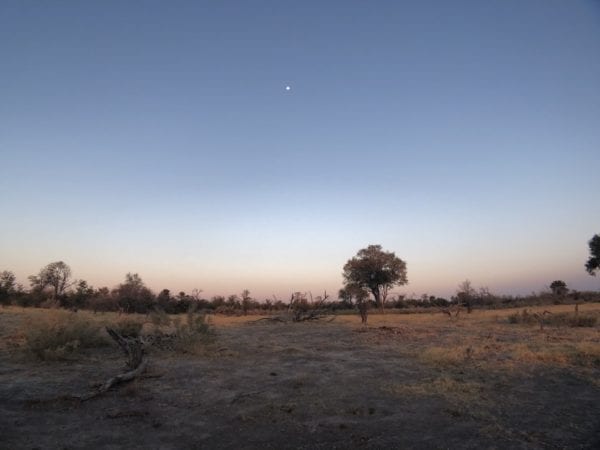 Itinéraire Voyage de Noces au Botswana : La nature vierge du Botswana et ses nuits étoilées.
