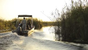 Botswana: Everything you need to know about Chobe National Park