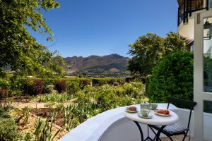 Cape Winelands Guide: Wine Route Essentials