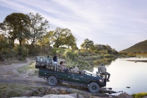 The 4 most beautiful safaris with your children