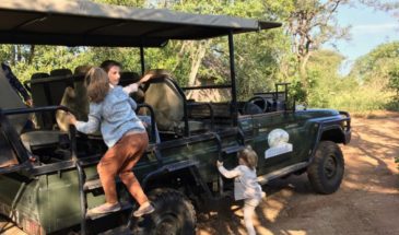 Safari en famille à Etosha et Namibie