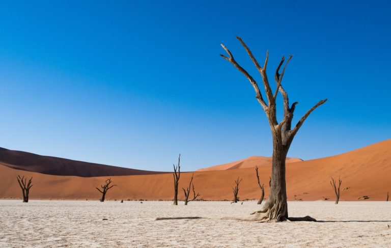 Vallée de Deadvlei en Namibie