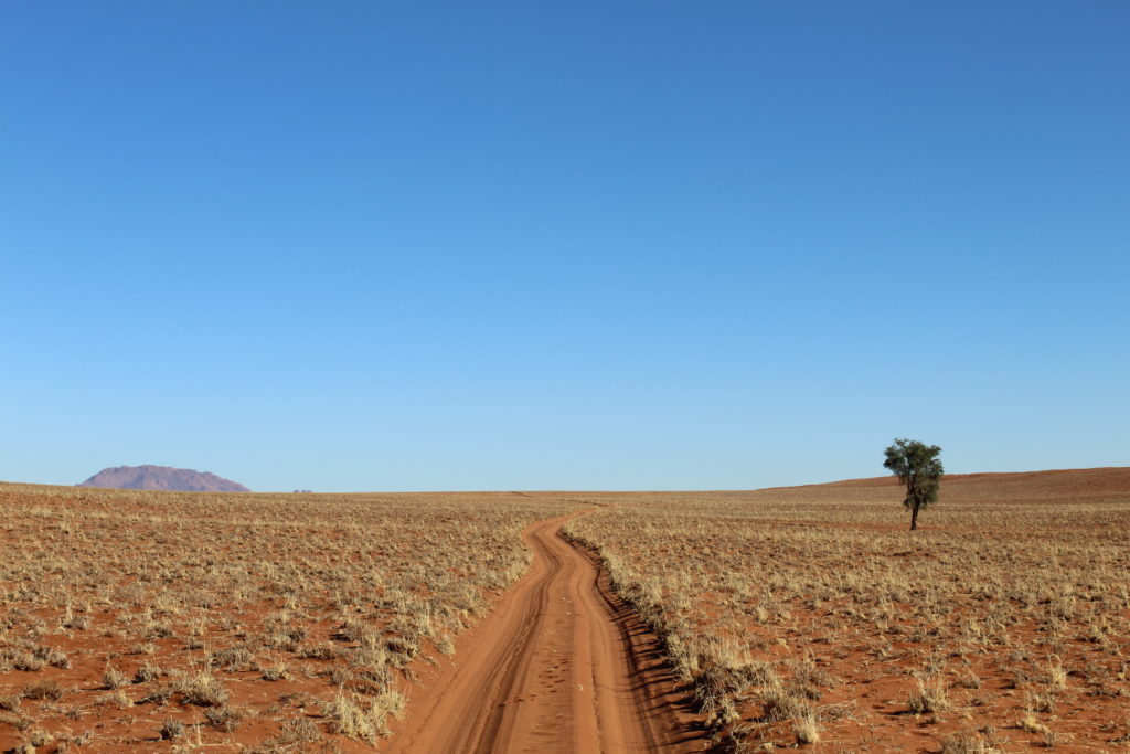 safari botswana en tente