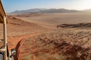 Quand partir en Namibie ?