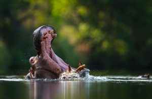 Santé en Namibie : Paludisme et vaccins obligatoires