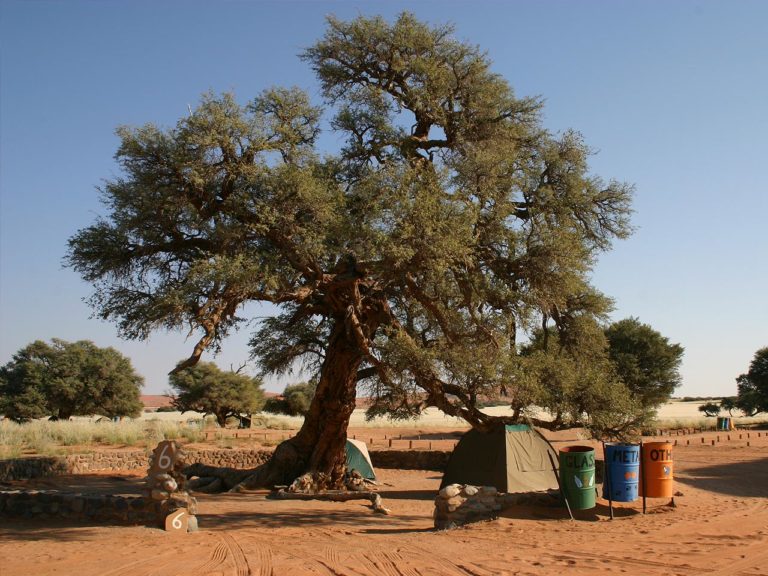 sesriem-campsite-itinéraire-namibie-hors-des-sentiers-battus sesriem-campsite-itinéraire-namibie-hors-des-sentiers-battus