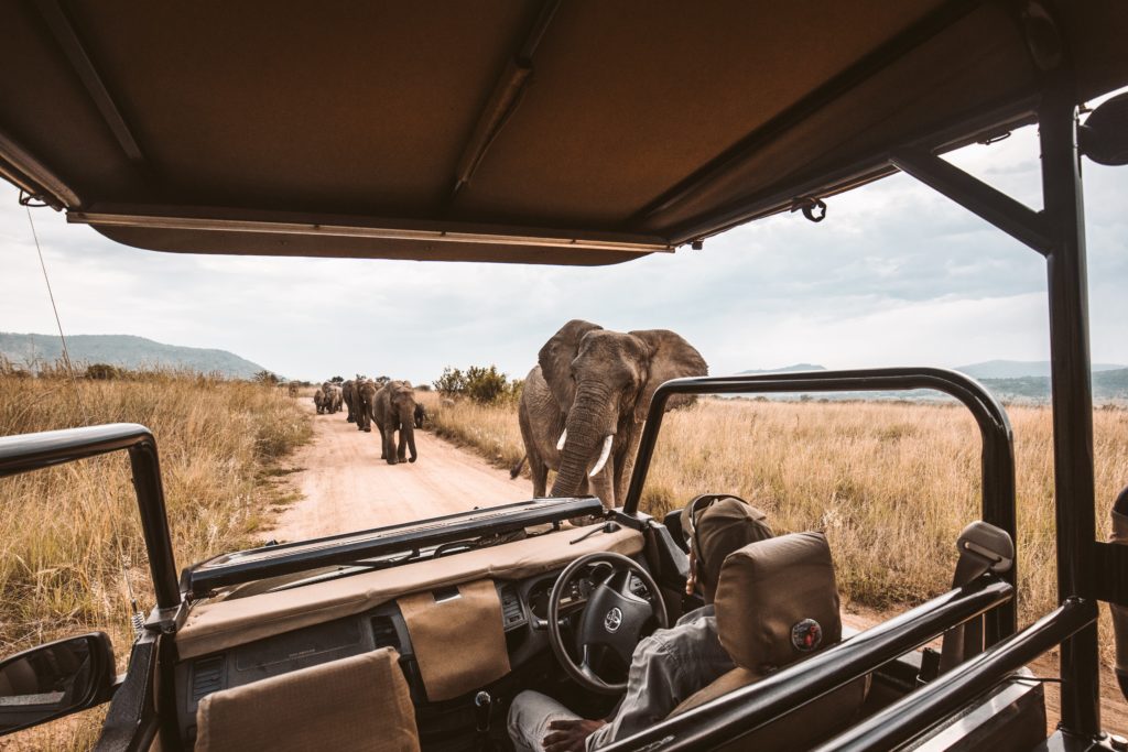 game-drive-safari2