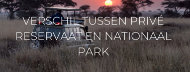 NL - Headers blog 2