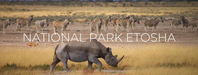 Etosha National Park | South African Travellers