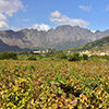 franschhoek-winelands-sout-african-travellers-sat-circle franschhoek-winelands-sout-african-travellers-sat-circle