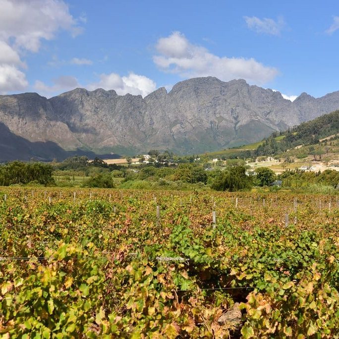 Franschhoek-Winelands-Sout-African-Travellers-SAT Vallée de Franschhoek sur la Route des Vins dans les Vignobles du Cap en Afrique du Sud un jour ensoleillé.
